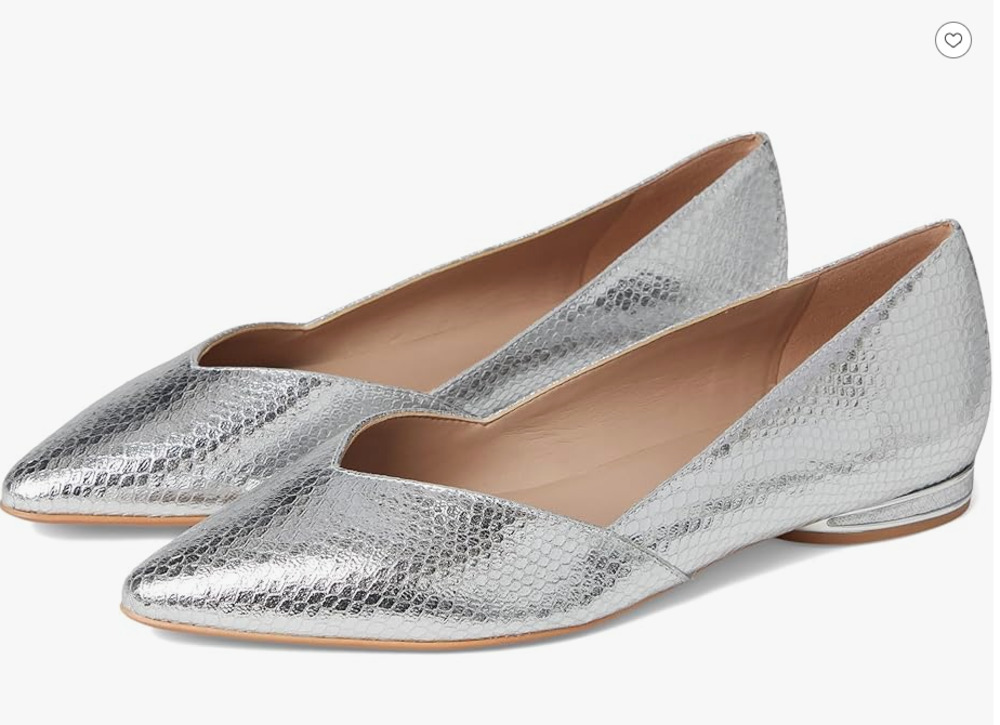 Silver Pointed Toe Flat Shoes for Women